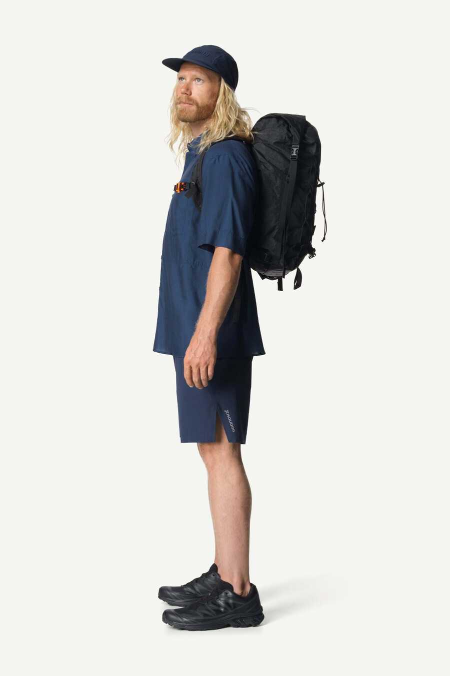 polo ms tree